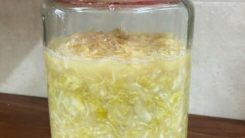 Einmachglas mit fertig fermentiertem Sauerkraut - Pickle jar with fully fermented Sauerkraut