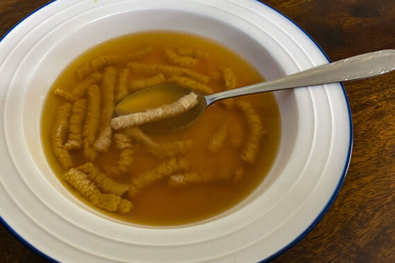 Passattelli romagnola en brodo - in einer Suppenschüssel mit Löffel - in a soup bowl with a spoon